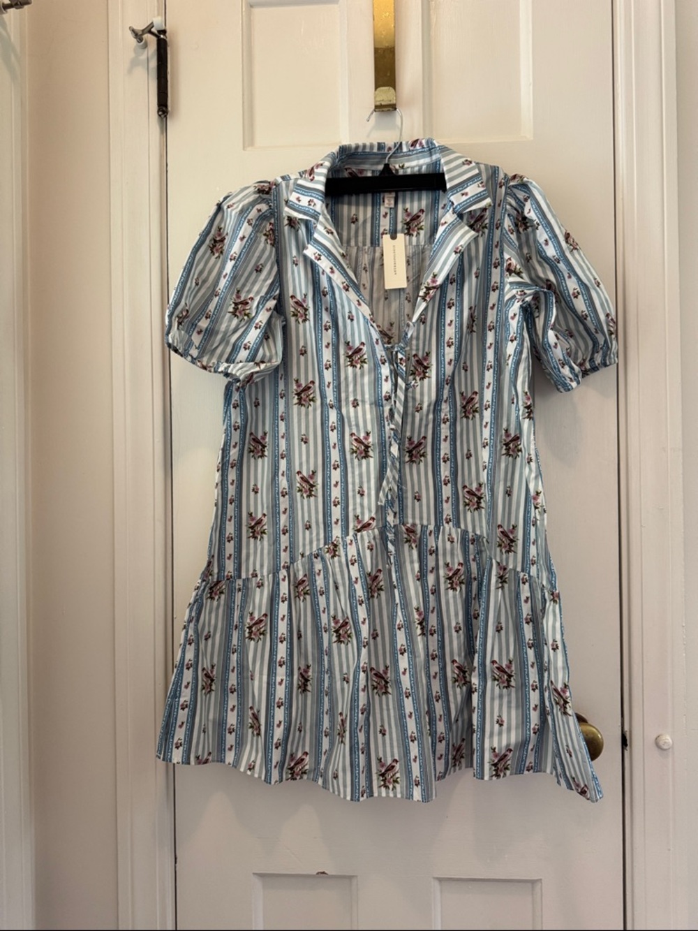 Anthropologie Lyrebird Light Blue Striped Floral Button-Front Tunic
